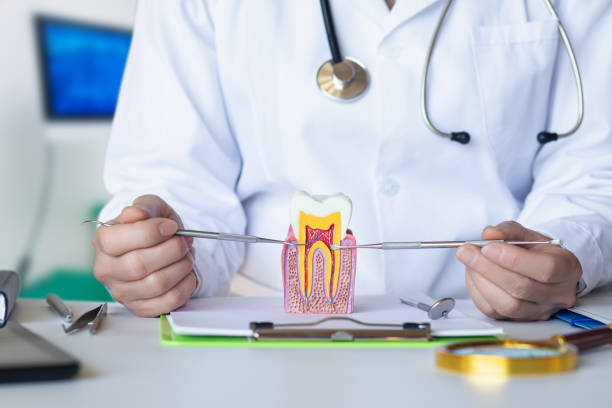 Best Emergency Dental Care for Trauma or Injury in Albany, LA
